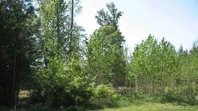 SELLER FINANCING AVAILABLE. SELLER WILL CARRY THE NOTE. This lot - photo 1