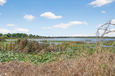 Lakefront homesite with 70 FEET OF LAKEFRONTAGE on BEAUTIFUL - photo 12
