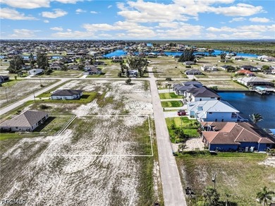 Located in the highly desirable NW Cape Coral area, this tripple - photo 13