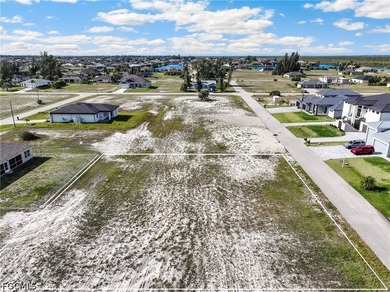 Located in the highly desirable NW Cape Coral area, this tripple - photo 18
