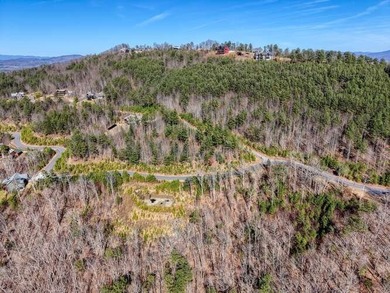 Luxury mountain living begins at Lot 364 in Thirteen Hundred, a - photo 26