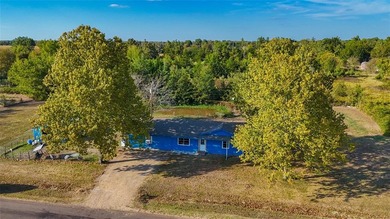 (private lake, pond, creek) Home For Sale in Pattonville Texas