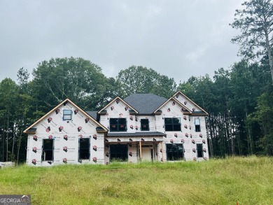 Lake Home For Sale in Mcdonough, Georgia