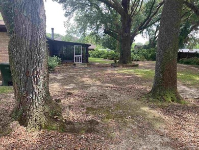0.66 Acres with gorgeous, gigantic oak trees for shade. 2,500+ - photo 7