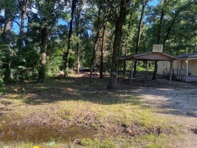Lake Home For Sale in Mabank, Texas
