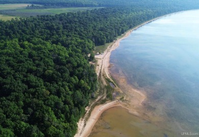 Lake Michigan - Delta County Acreage For Sale in Garden Michigan