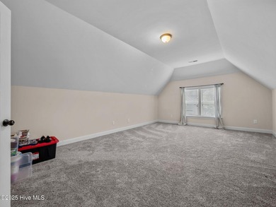 Are you in search of a stunning residence in Swansboro, NC? - photo 19