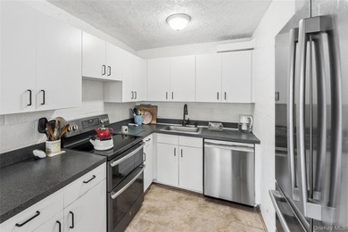 This bright and spacious 2-bedroom, 6th-floor corner apartment - photo 4