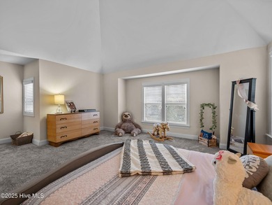 Are you in search of a stunning residence in Swansboro, NC? - photo 31