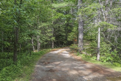 Nestled in the woods on beautifully landscaped grounds, this - photo 36