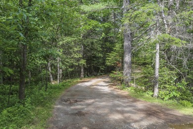 Nestled in the woods on beautifully landscaped grounds, this - photo 37
