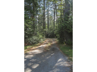 Nestled in the woods on beautifully landscaped grounds, this - photo 38