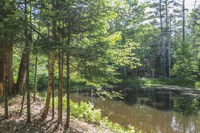 Nestled in the woods on beautifully landscaped grounds, this - photo 49