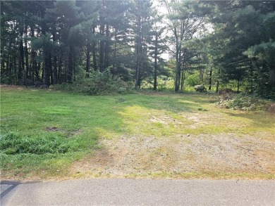 Lake Chetek Lot Sale Pending in Chetek Wisconsin