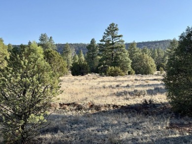 Ramah Reservoir Acreage For Sale in Ramah New Mexico