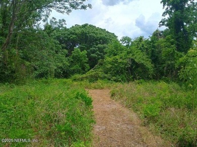 Doctors Lake Acreage For Sale in Orange Park Florida