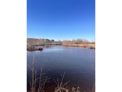 (private lake, pond, creek) Acreage For Sale in Athens Texas