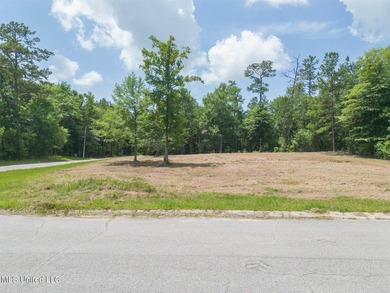 **Land for Sale in D'Iberville!**Nestled in a quiet neighborhood - photo 11