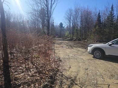 Awesome location for your dream home! Seller has a building - photo 13