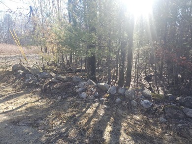 Awesome location for your dream home! Seller has a building - photo 14
