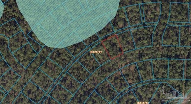 Looking for an affordable piece of Florida land with long-term - photo 1