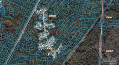 Looking for an affordable piece of Florida land with long-term - photo 2