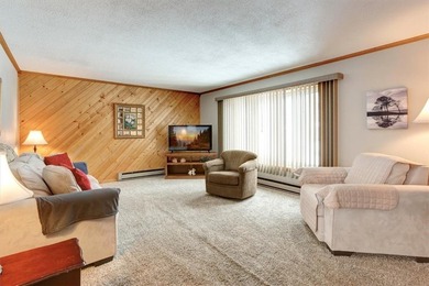 Charming 3-bedroom ranch just two blocks from Lake Pepin, with - photo 12
