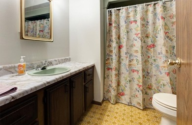 Charming 3-bedroom ranch just two blocks from Lake Pepin, with - photo 17