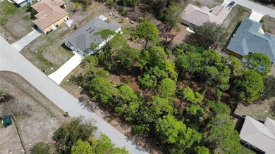Discover the potential of this vacant lot in North Port, where - photo 2