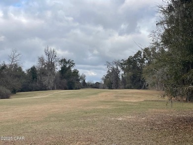 GOLF COURSE FRONT LOT. .88 Acre wooded lot with 181 front foot - photo 4