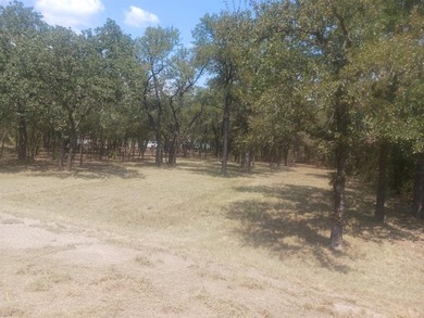 Lake Bridgeport Lot For Sale in Bridgeport Texas