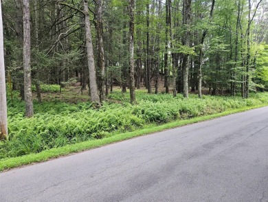 (private lake, pond, coastal) Acreage For Sale in Kauneonga Lake New York