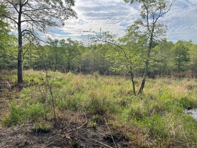 (private lake, pond, creek) Acreage For Sale in Soper Oklahoma