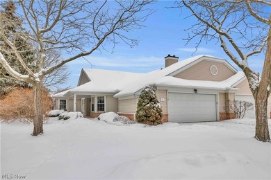 Lake Erie - Lorain County Condo Sale Pending in Avon Lake Ohio