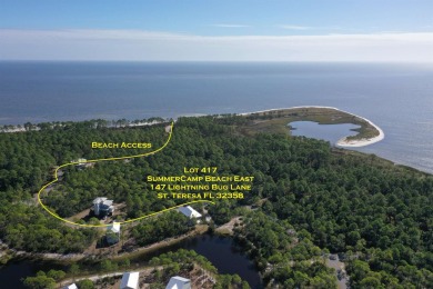 Lake Lot For Sale in Sopchoppy, Florida