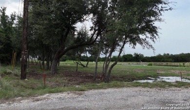 (private lake, pond, creek) Lot For Sale in Blanco Texas