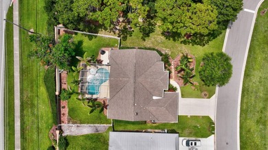 Palm trees sway over your private, screened pool at this move-in - photo 38