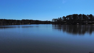 This stunning 4-bedroom, custom built 3408 sq ft lake front home - photo 41