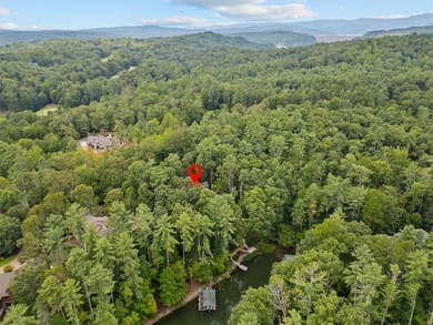 Lakefront Living in The Cliffs at Keowee Vineyards! Welcome to - photo 41