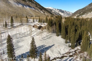 A pristine 7.42-acre alpine haven with Castle Creek flowing - photo 5