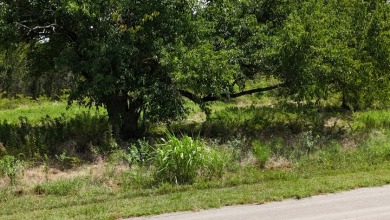 Off water 1.85 acre lot in Gated Subdivision on Lake Halbert. - photo 27