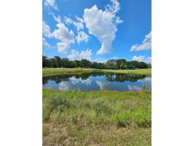 Charming 19-Acre Retreat with Pond, Wildlife & Workshop Escape - photo 11