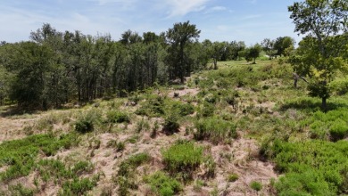 Off water 1.85 acre lot in Gated Subdivision on Lake Halbert. - photo 21