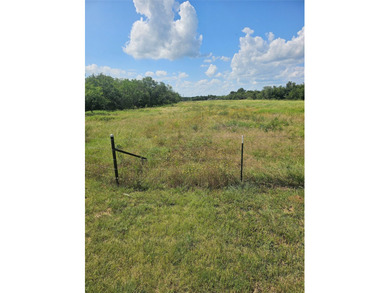 Charming 19-Acre Retreat with Pond, Wildlife & Workshop Escape - photo 17