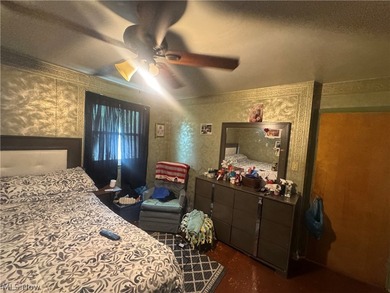 Investor opportunity in the heart of Euclid! This - photo 24