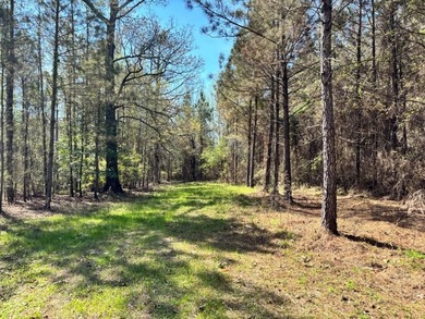 Tucked away in the quiet countryside of Clarke County - photo 2