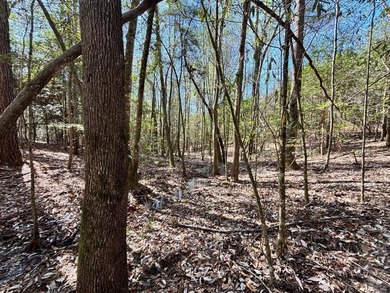 Tucked away in the quiet countryside of Clarke County - photo 3