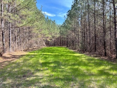 Tucked away in the quiet countryside of Clarke County - photo 5
