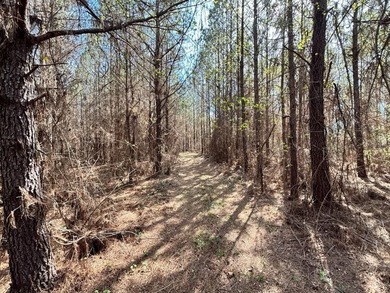 Tucked away in the quiet countryside of Clarke County - photo 7