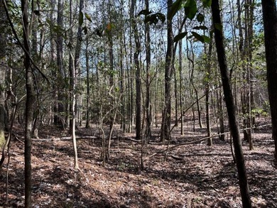 Tucked away in the quiet countryside of Clarke County - photo 10